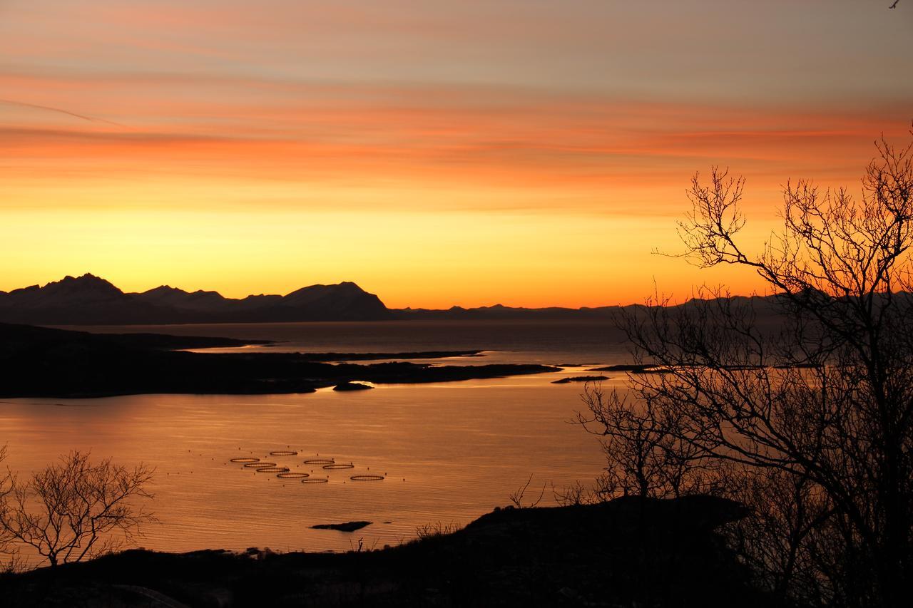 Senja Fjordhotell And Apartments Stonglandseidet Dış mekan fotoğraf