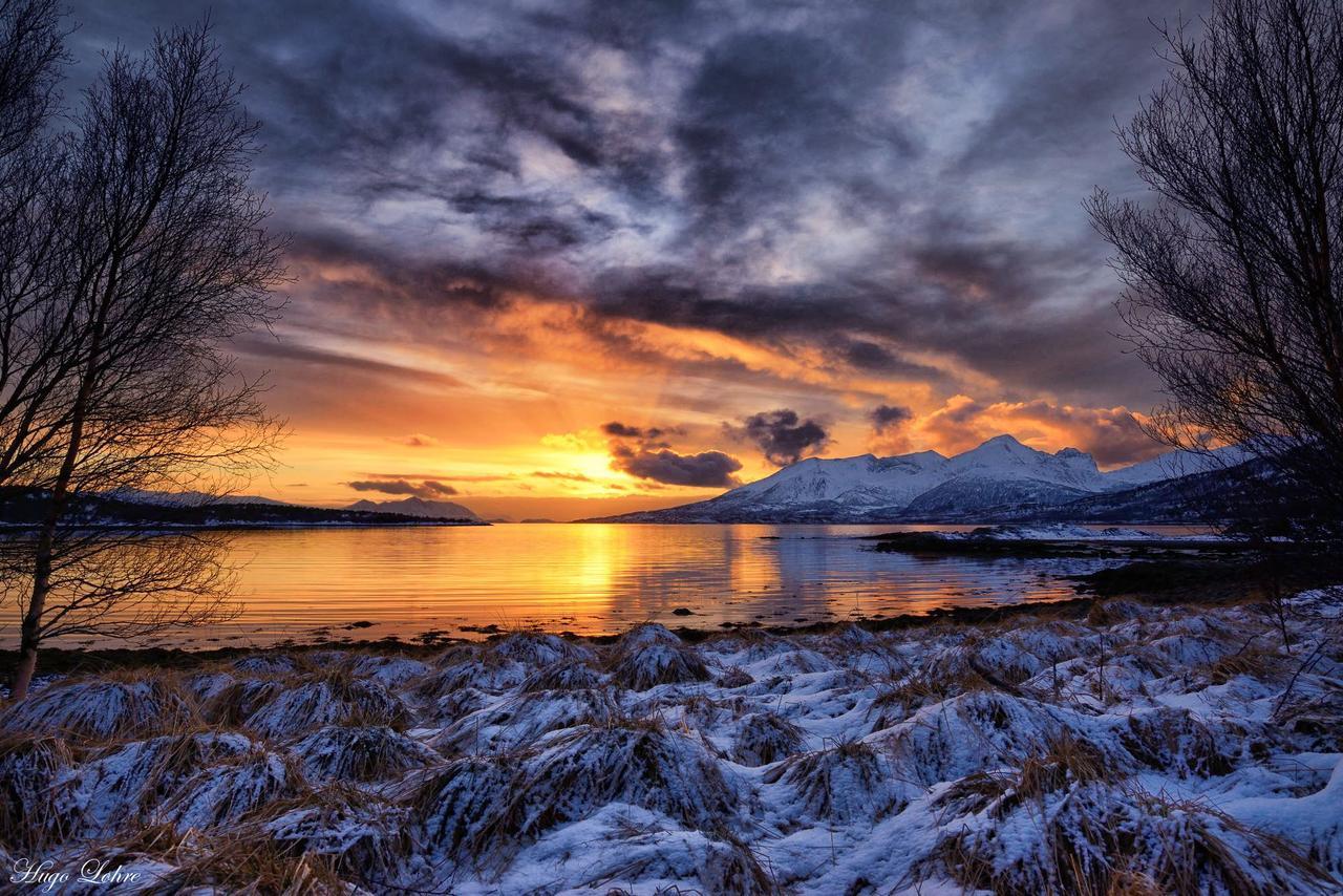 Senja Fjordhotell And Apartments Stonglandseidet Dış mekan fotoğraf