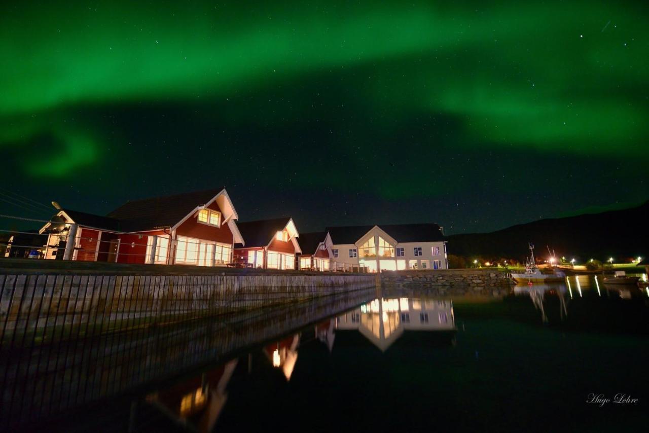 Senja Fjordhotell And Apartments Stonglandseidet Dış mekan fotoğraf